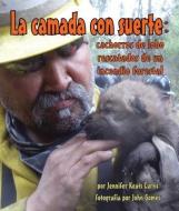 La Camada Con Suerte: Cachorros de Lobo Rescatados de Un Incendio Forestal di Jennifer Keats Curtis edito da ARBORDALE PUB