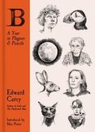 B: A Year in Plagues and Pencils di Edward Carey edito da Ingram Publisher Services