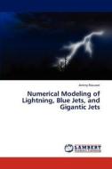 Numerical Modeling of Lightning, Blue Jets, and Gigantic Jets di Jérémy Riousset edito da LAP Lambert Academic Publishing