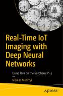 Real Time Iot Imaging for Deep Neural Networks: With Java, Clojure, and Raspberry Pi 4 di Nicolas Modrzyk edito da APRESS