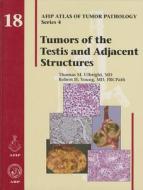 Atlas of Tumor Pathology, 4th Series: Tumors of the Testis and Adjacent Structures di Thomas M. Ulbright edito da American Registry of Pathology