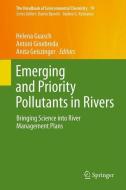 Emerging and Priority Pollutants in Rivers edito da Springer-Verlag GmbH