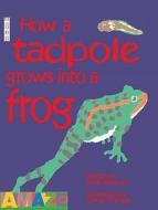 How A Tadpole Grows Into A Frog di David Stewart edito da Salariya Book Company Ltd