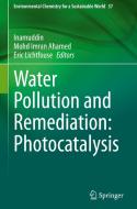 Water Pollution and Remediation: Photocatalysis edito da Springer International Publishing