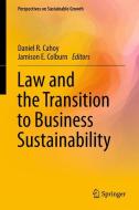 Law and the Transition to Business Sustainability edito da Springer-Verlag GmbH