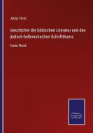 Geschichte der biblischen Literatur und des jüdisch-hellenistischen Schriftthums di Julius Fürst edito da Salzwasser-Verlag GmbH