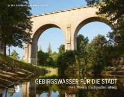 Gebirgswasser für die Großstadt di Peter Payer edito da Falter Verlag