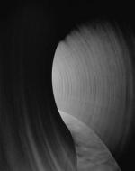 Richard Serra 2014 di Neil Cox edito da Rizzoli Universe Int. Pub