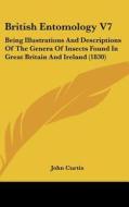 British Entomology V7: Being Illustrations and Descriptions of the Genera of Insects Found in Great Britain and Ireland (1830) di John Curtis edito da Kessinger Publishing