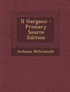 Il Gargano - Primary Source Edition di Antonio Beltramelli edito da Nabu Press