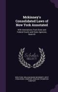 Mckinney's Consolidated Laws Of New York Annotated di New York, William Mark McKinney edito da Palala Press
