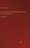 The Pony Rider Boys in New Mexico; Or, The End of the Silver Trail di Frank Gee Patchin edito da Outlook Verlag