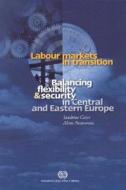 Labour Markets in Transition: Balancing Flexibility & Security in Central and Eastern Europe di Sandrine Cazes, Alena Nesporova edito da International Labor Office