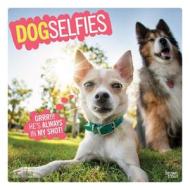 Dog Selfies 2020 Square Wall Calendar di Inc Browntrout Publishers edito da Brown Trout