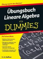 Übungsbuch Lineare Algebra für Dummies di E. -G. Haffner edito da Wiley VCH Verlag GmbH