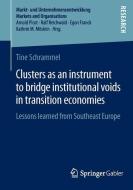 Clusters as an instrument to bridge institutional voids in transition economies di Tine Schrammel edito da Gabler, Betriebswirt.-Vlg