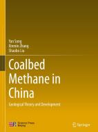 Coalbed Methane in China: Geological Theory and Development di Yan Song, Xinmin Zhang, Shaobo Liu edito da SPRINGER NATURE