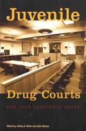 Juvenile Drug Courts and Teen Substance Abuse di John Roman edito da Urban Institute