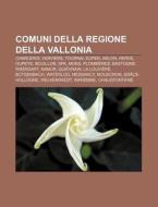 Comuni Della Regione Della Vallonia: Cha di Fonte Wikipedia edito da Books LLC, Wiki Series