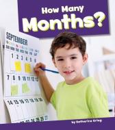 How Many Months? di Katherine Krieg edito da AMICUS