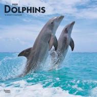 Dolphins 2020 Square Wall Calendar di Inc Browntrout Publishers edito da Brown Trout
