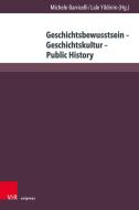 Geschichtsbewusstsein - Geschichtskultur - Public History edito da V & R Unipress GmbH