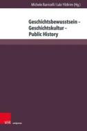 Geschichtsbewusstsein - Geschichtskultur - Public History edito da V & R Unipress GmbH