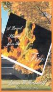 A Brand Plucked from the Fire - an Autobiography di James W. Haarhoff edito da Grosvenor House Publishing Ltd