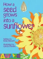 How A Seed Grows Into A Sunflower di David Stewart edito da Salariya Book Company Ltd