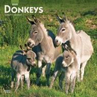 Donkeys 2020 Square Wall Calendar di Inc Browntrout Publishers edito da Brown Trout