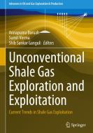 Unconventional Shale Gas Exploration and Exploitation edito da Springer International Publishing