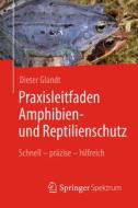 Praxisleitfaden Amphibien- und Reptilienschutz di Dieter Glandt edito da Springer-Verlag GmbH