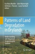 Patterns of Land Degradation in Drylands edito da Springer Netherlands