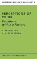 Perceptions of Work di Beynon, Huw Beynon, H. Beynon edito da Cambridge University Press