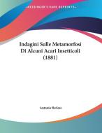 Indagini Sulle Metamorfosi Di Alcuni Acari Insetticoli (1881) di Antonio Berlese edito da Kessinger Publishing