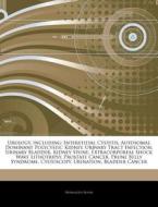 Urology, Including: Interstitial Cystiti di Hephaestus Books edito da Hephaestus Books