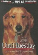 Until Tuesday: A Wounded Warrior and the Golden Retriever Who Saved Him di Luis Carlos Montalv?n and Bret Witter, Luis Carlos Montalvan, Bret Witter edito da Brilliance Audio
