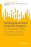 Multiregional Flood Footprint Analysis di David Mendoza-Tinoco, Dabo Guan, Alfonso Mercado-Garcia edito da Springer International Publishing