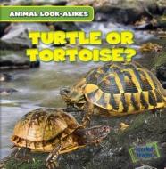 Turtle or Tortoise? di Rob Ryndak edito da Gareth Stevens Publishing