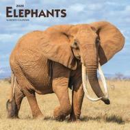Elephants 2020 Square Wall Calendar di Inc Browntrout Publishers edito da Brown Trout
