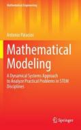 Mathematical Modeling di Antonio Palacios edito da Springer International Publishing