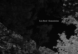 Romanticism di Lou Reed edito da Steidl Publishers