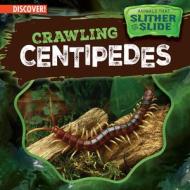 Crawling Centipedes di Theresa Emminizer edito da ENSLOW PUBL