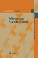Fullerenes and Related Structures edito da Springer Berlin Heidelberg