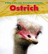 Ostrich di Louise A. Spilsbury edito da HEINEMANN LIB