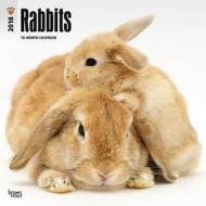 Rabbits 2018 Wall Calendar di Inc Browntrout Publishers edito da Brown Trout
