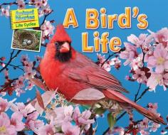 A Bird's Life di Ellen Lawrence edito da BEARPORT PUB CO INC