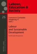Labour and Sustainable Development edito da Lang, Peter GmbH