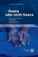 HABEN oder nicht HABEN di Susanne Schuster edito da Universitätsverlag Winter