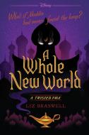 A Whole New World: A Twisted Tale di Liz Braswell edito da DISNEY PR
